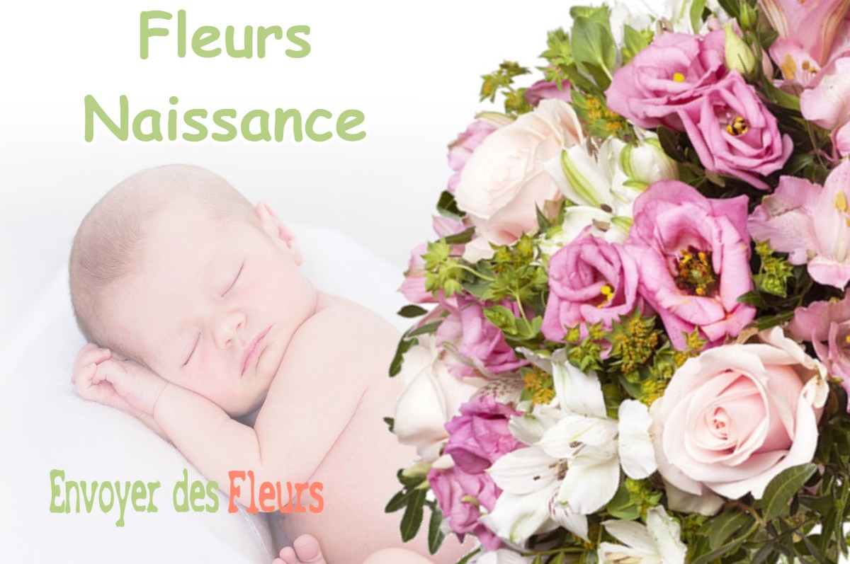 lIVRAISON FLEURS NAISSANCE à SAINT-JEAN-LHERM